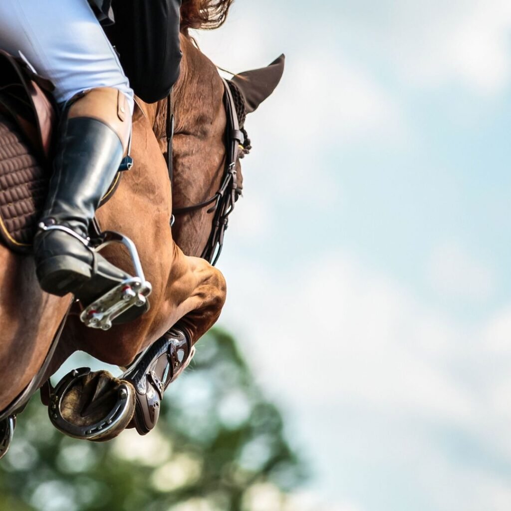 Equestrian Performance Coaching