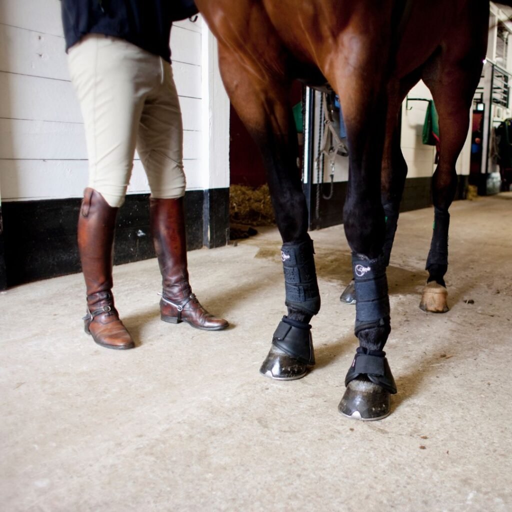 Evidence-based Applied Rider Psychology