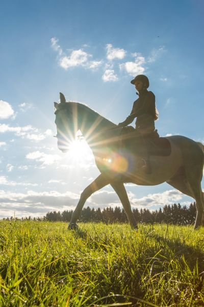 Rider confidently hacking out