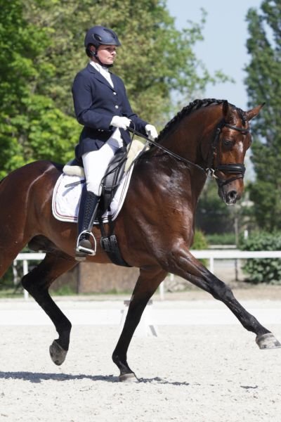 Equestrian Performance Coaching