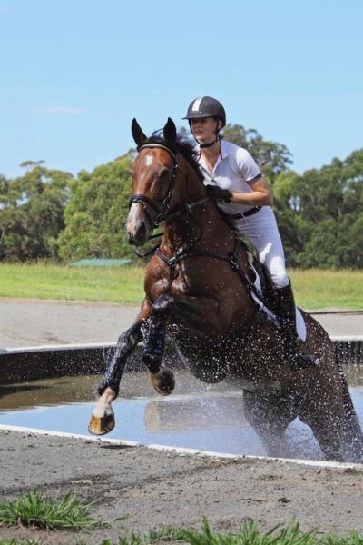 Equestrian Performance Coaching