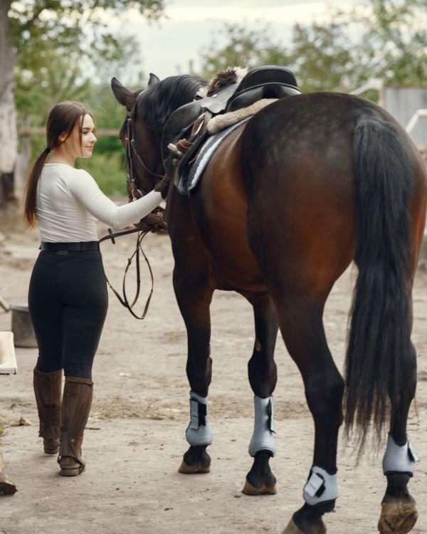 mindset psychology clinics for riders