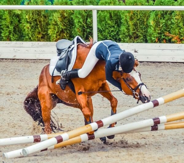 Riding falling off at a jump