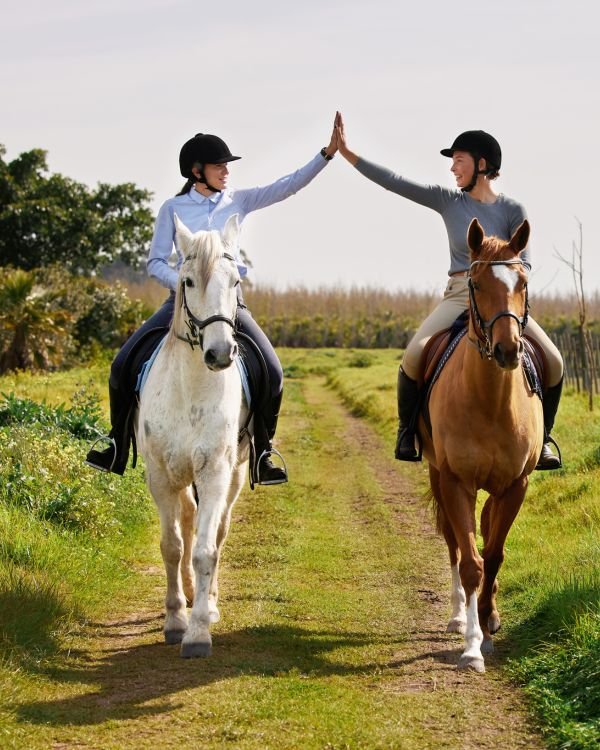 equus coaching rider mindset online
