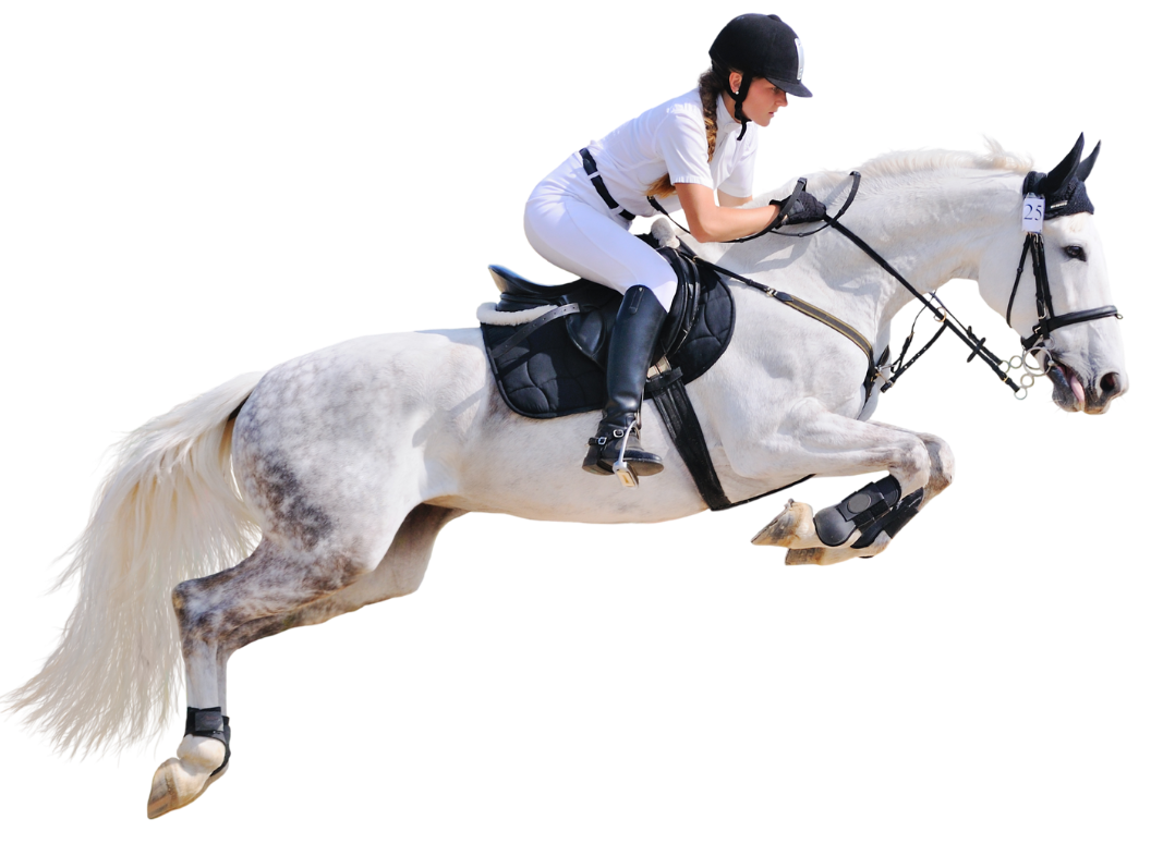 rider psychology training for equestrian coaches