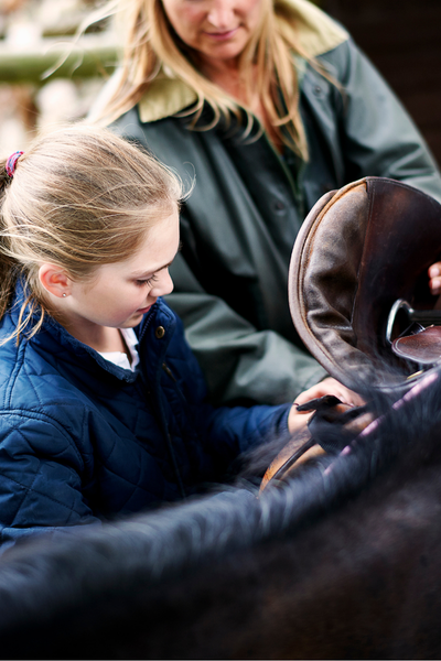 home education horse care online
