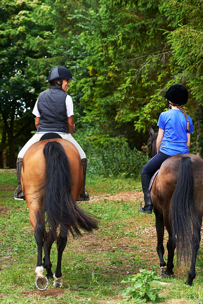 rider mindset and confidence clinics and workshops