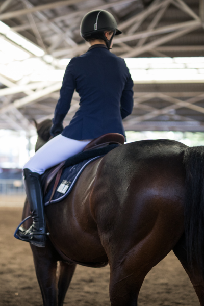 rider psychology training for equestrian coaches