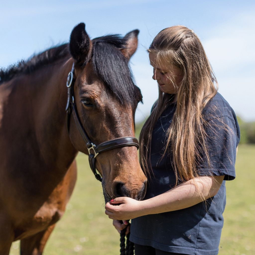 equestrian workshops and rider mindset training