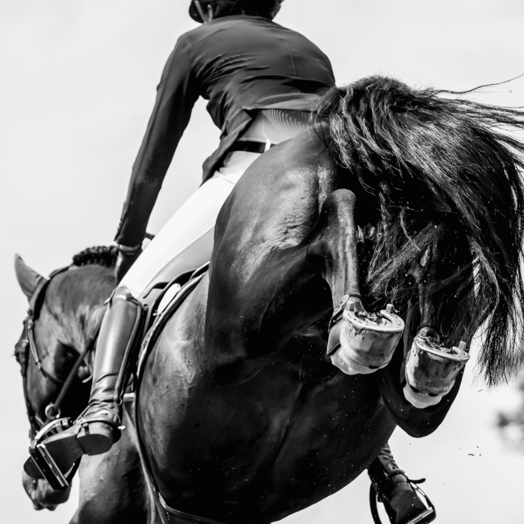 Equestrian Performance Coaching
