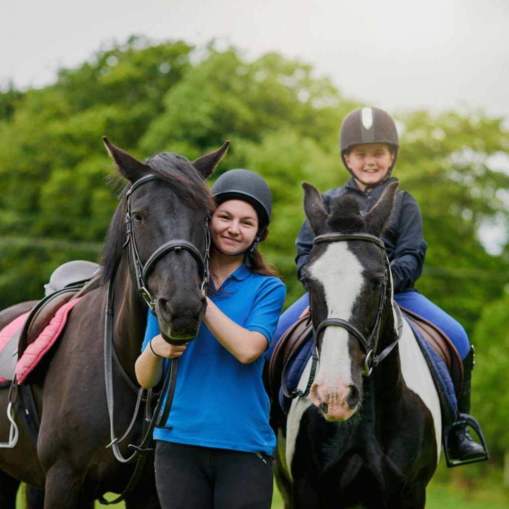 home education horse care online