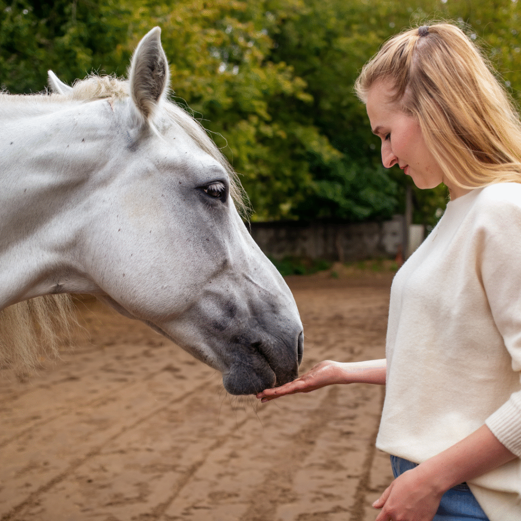 mindfulness with horses