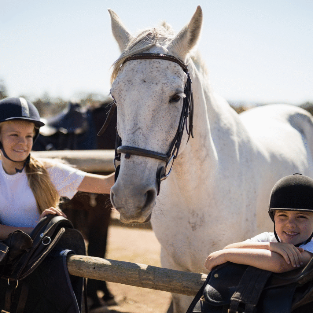 home education horse care online