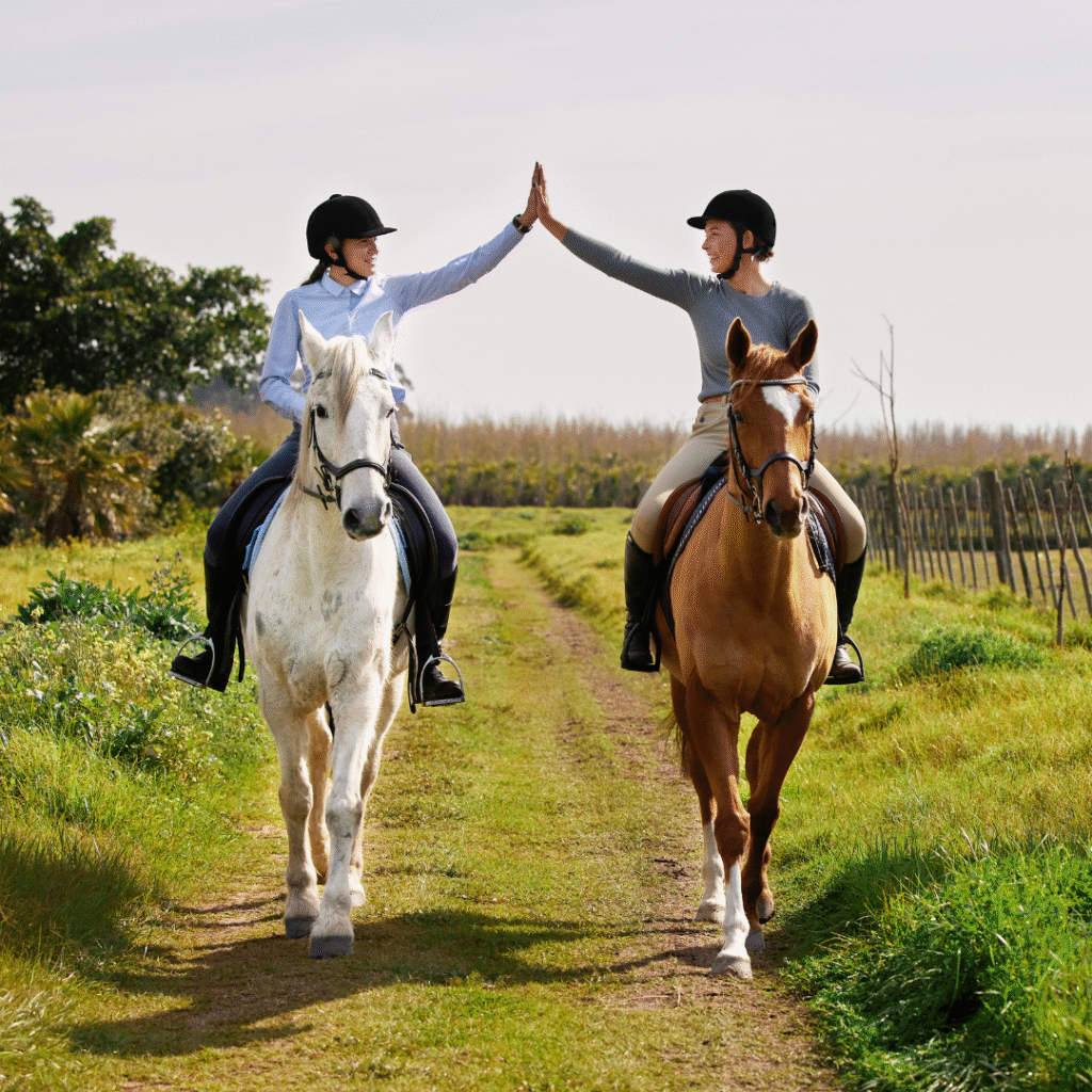 home education equestrian workshops and rider mindset training